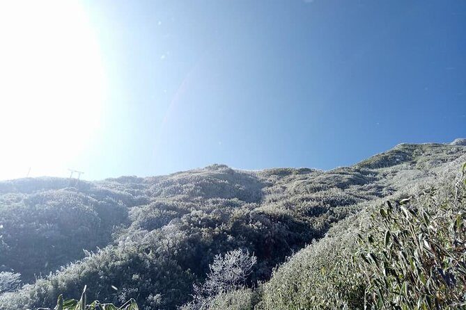 1 day Fansipan Trekking - From Tram Ton pass through bamboo forest to lunch near 2800m
