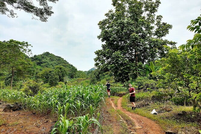 1 Day Ha Giang Loop Tour by Motorbike with Easy Rider - Loopers - Quan Ba Heaven Gate: panoramic views from about 1,500 meters