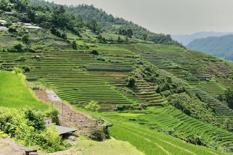 1-Day Sapa Long Trek - Rice Field Terrace, Ethnic Culture - Lao Chai Sang lunch: eating like a guest, not a customer