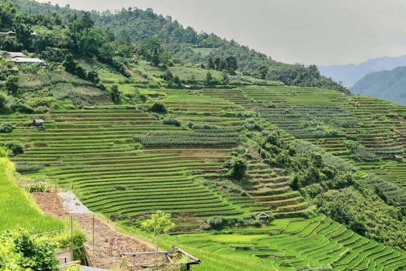 1-Day Sapa Long Trek - Rice Field Terrace, Ethnic Culture - How long treks really feel: distance, mud, and pace