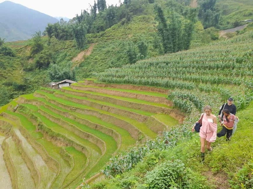 2-Day Sa Pa Ethnic Homestay Tour & Trek with Limousine Bus - Day 2: Rice Paddies, Bamboo Forest, Giang Ta Chai Views, and the Bridge