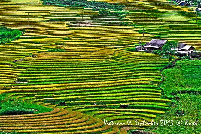 2 days authentic trekking tour in Sapa ( Homestay - Less touristy ) - Homestay Night: Traditional Wooden House Comfort (Rustic, With Real Structure)