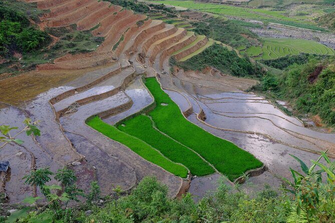 2D1N Buffalo trek by Hmong Sister House and Trekking - Why this buffalo trek feels like a real Sapa connection
