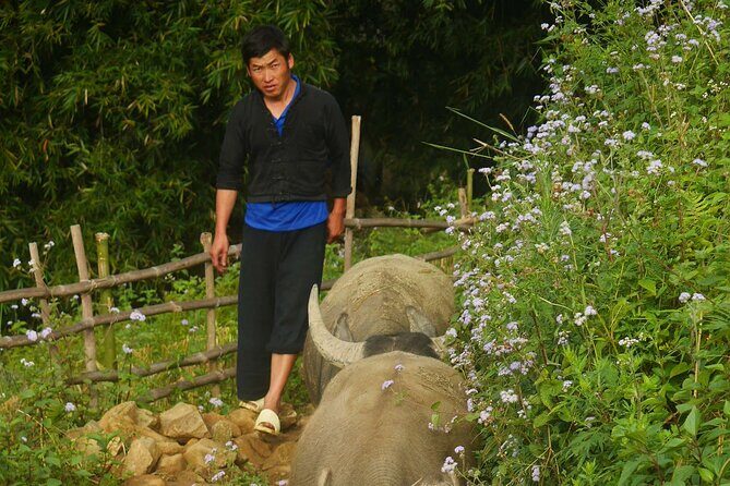 2D1N Buffalo trek by Hmong Sister House and Trekking - Your guide and the private-group setup