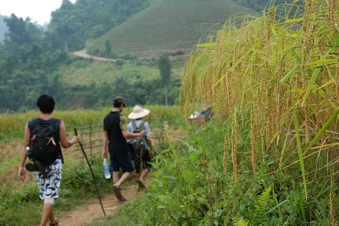 3-Day Trek in Amazing Muong Hoa Valley & ethnic Homestay - Day 1: Lao Chai and Y Li—Start in Hmong Territory