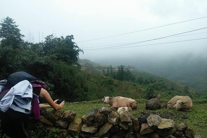 3-Day Trek in Amazing Muong Hoa Valley & ethnic Homestay - What I’d Pack and How I’d Prepare (Without Overcomplicating It)