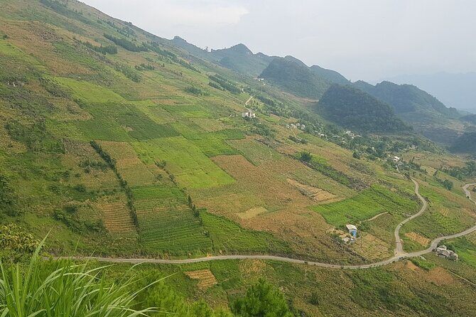 4 Days 3 Nights Ha Giang Easy Driving Motorbike Tours - Day 3: Dong Van market day and Ma Pi Leng Pass power