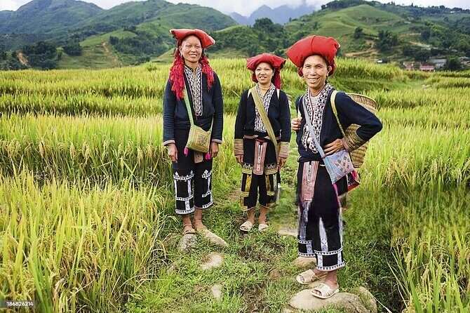 6 - 8 Day Vietnam Itinerary | Magnificent | Best 2026 Northern - Heaven’s Gate and Sung La Valley on Day 4