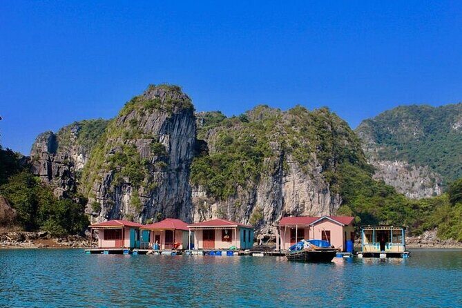 Bai Tu Long Bay 2 Day 1 Night Cruise - Swimming, night fishing, and a cooking class: how the day feels on this cruise