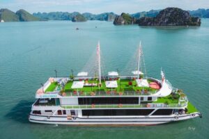 Best Halong Bay Tour One Day On Luxury Cruise 6 Hours Cruising - Luxury-Style Cruising in Ha Long Bay (3 Hours That Matter)