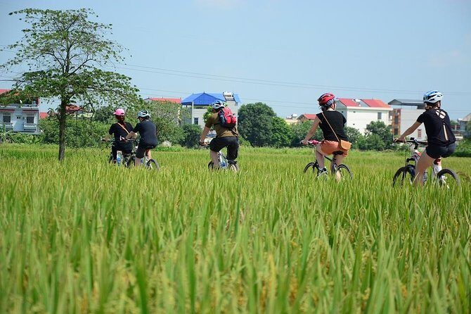 Bicycle Tours Hanoi: Full Day Bicycle Tours City & Countryside - Quick Take: What This Full-Day Hanoi Bike Tour Is Best At