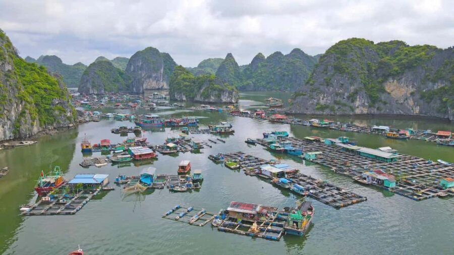 Cat Ba/Ha Noi: Lan Ha and Monkey Island Full Day Boat Trip - Crew Energy and Guide Style That Keeps You Comfortable