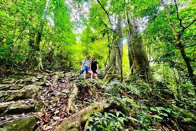 Cat Ba National Park Full Day Trekking Tour to Viet Hai Village - Pickup and mobile tickets: small logistics that help
