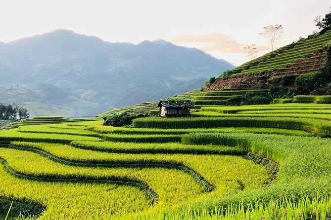 Discover the Beauty of Sa Pa: A One-Day Trek - Guides, Group Size, and the Difference a Good Day Makes