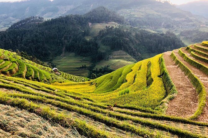 Discover the Beauty of Sa Pa: A One-Day Trek - Lunch, Water, and the Small Things That Keep the Day From Dragging