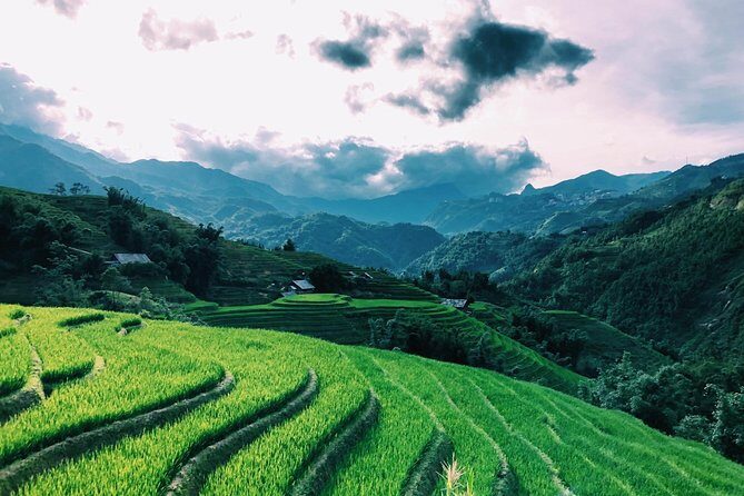 Discover the Beauty of Sa Pa: A One-Day Trek - Pickup, Start/End Point, and Luggage Storage That Actually Helps