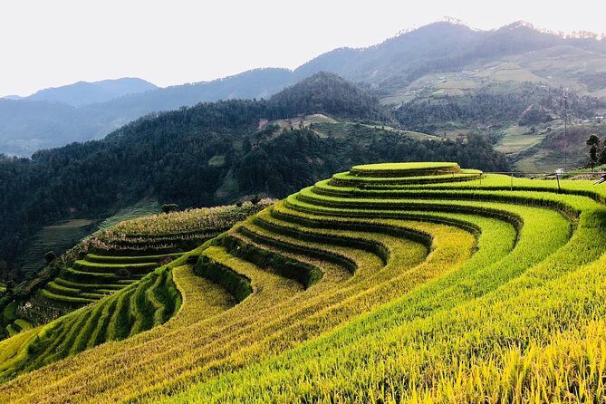 Discover the Beauty of Sa Pa: A One-Day Trek - Who This Trek Suits Best (And Who Should Skip It)
