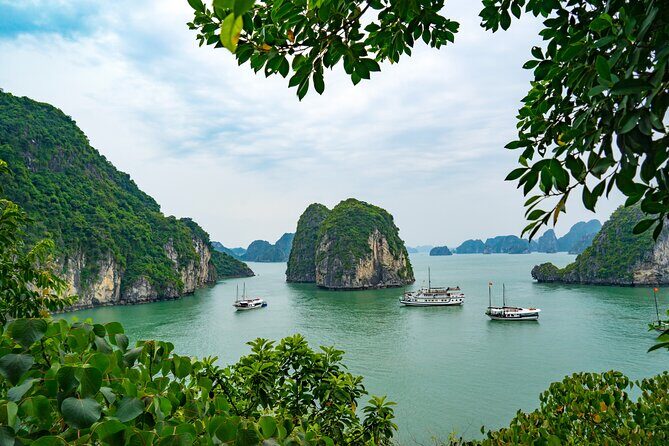 Emperor Cruise Halong: 3 Days 2 Nights Hideaway - Tuan Chau check-in: starting at the right marina
