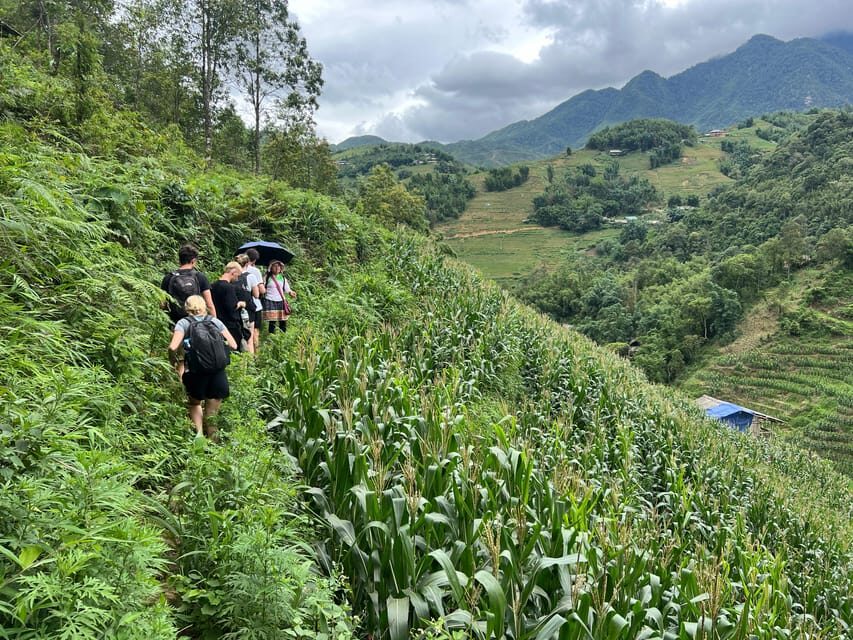 Explore Sapa by TrekkingAdventures, Mountain,Rice fields - Key things that make this trek special