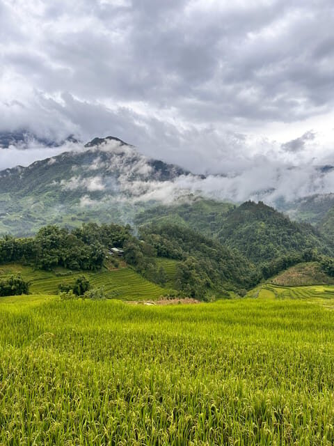 Explore Sapa by TrekkingAdventures, Mountain,Rice fields - Hmong Sisters + Rice Terraces: The real reason this feels different