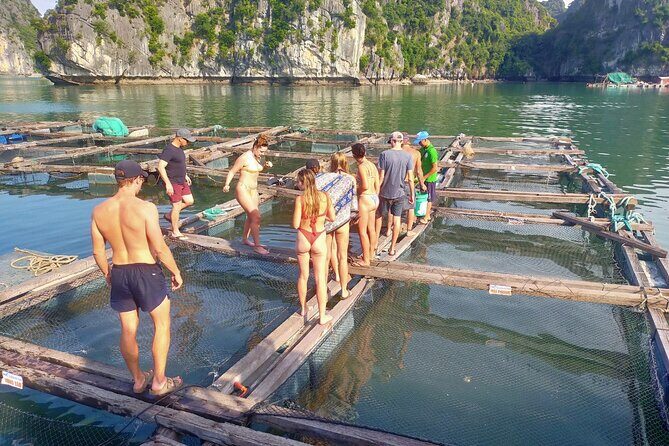 From Ha Noi/Cat Ba: Full-Day Cruise to Lan Ha bay - Ha Long Bay - Ha Long Bay caves: kayaking with real wow factor