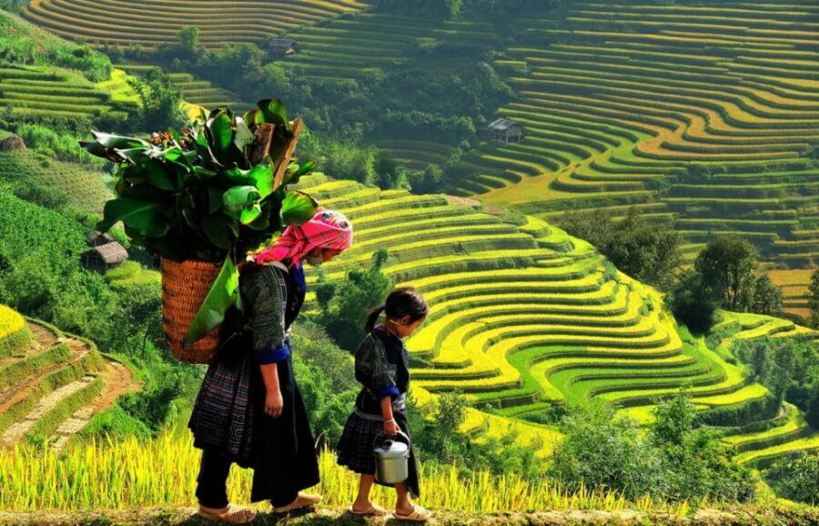From Hanoi: 2-Day 2-Night Sapa Tour by Overnight Train - The Cultural Thread: Ethnic Minority Villages and What Your Guide Points Out