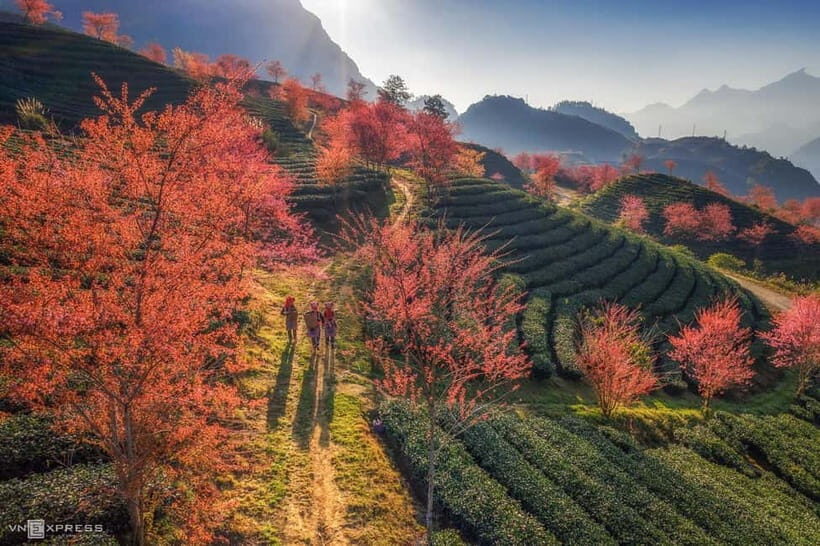 From Hanoi: 2-Day Luxury Sapa Trekking Tour with Homestay - Night Bus In, Sapa on Schedule: How the timing really works