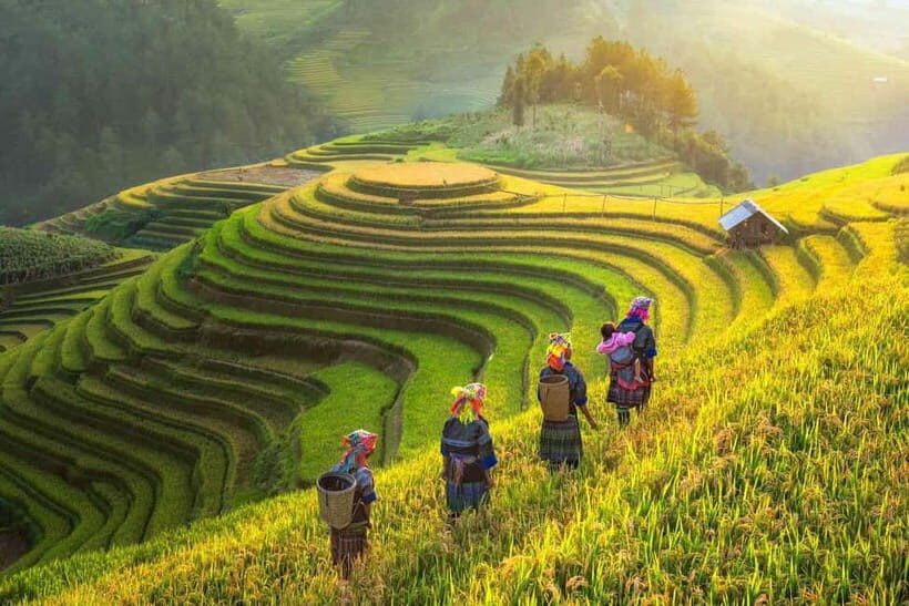 From Hanoi: 2-Day Luxury Sapa Trekking Tour with Homestay - The Ta Van reset: free time, terraced fields, and spring roll class