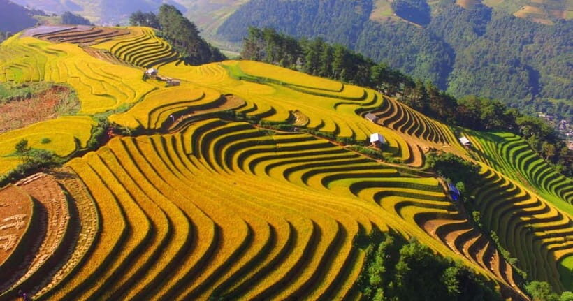 From Hanoi: 2-Day Luxury Sapa Trekking Tour with Homestay - Fitness and packing: your feet will lead the itinerary