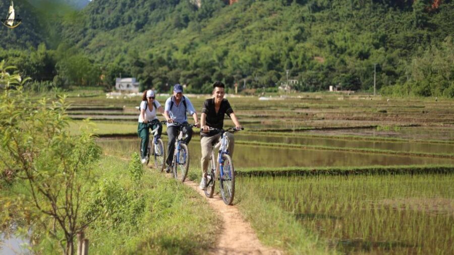 From Hanoi: 2-Day Ninh Binh Tour with Ha Long Bay Cruise - Tips to make your two days smoother