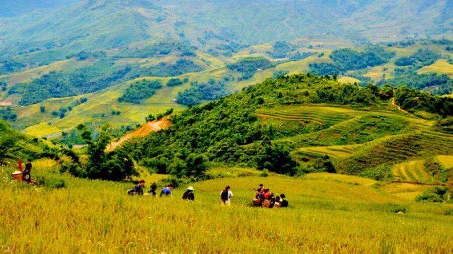 From Hanoi: 2-Day Overnight Sapa Tour by Limousine - What to Pack for Sapa’s Weather Swings