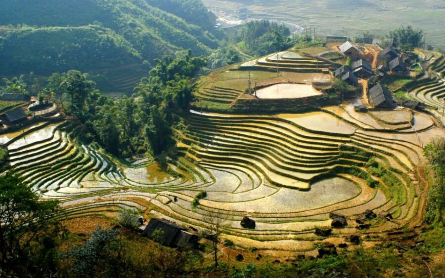 From Hanoi: 2-Day Sapa Cultural Exchange Tour with Homestay - Lunch in Sapa, then the Y Linh Lo trek through Muong Hoa Valley