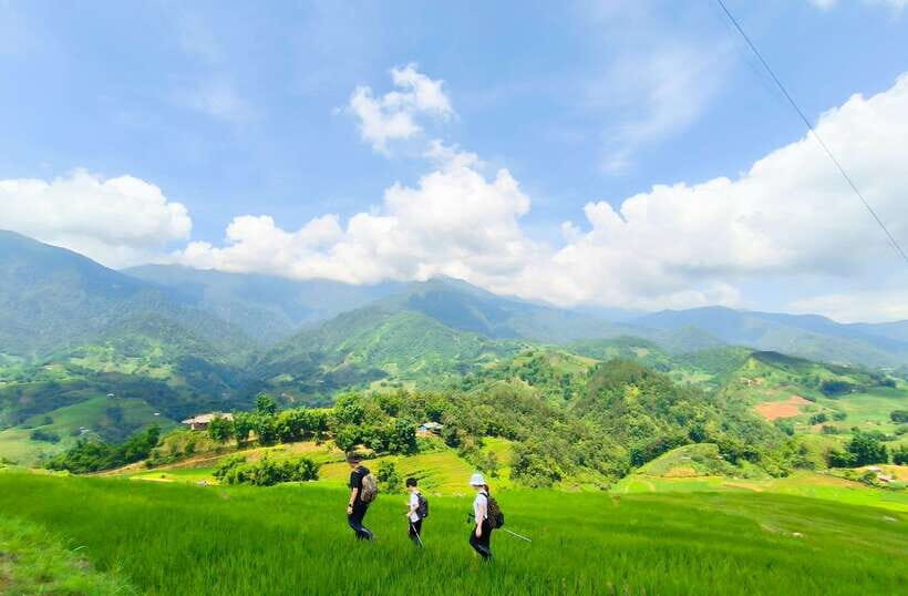 From Hanoi: 2-Day Sapa Trek Tour - Luxury Limousine Transfer - FAQ