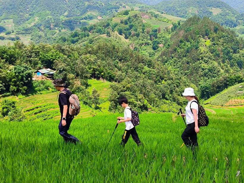 From Hanoi: 2-Day Sapa Trek Tour - Luxury Limousine Transfer - Day 2: Lao Chai and Ta Van through rice terraces and stream paths