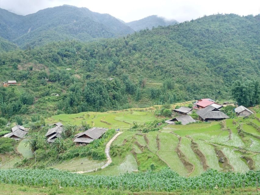 From Hanoi: 2-Day Sapa Trekking Trip with Homestay & Meals - Price and Value: Why $71 Can Be a Good Deal Here
