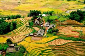 From Hanoi: 2-Day Sapa Trekking Trip with Homestay & Meals - Hanoi Pickup to Sapa Arrival: Early Starts, Real Roads