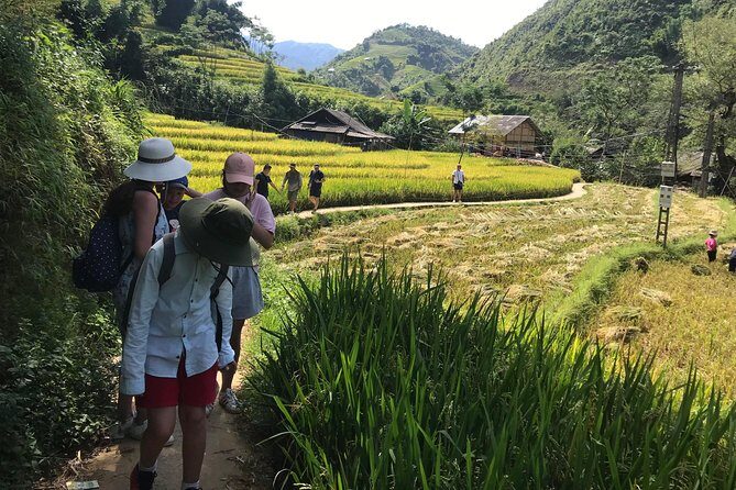 From Hanoi: 3 Days Luxury Sapa Trek & Fansipan Peak with Dcar - Hotels and meals: what your money buys in plain terms