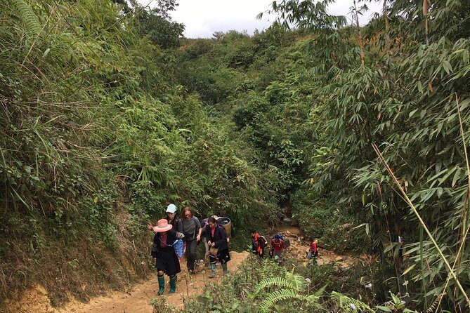 From Hanoi: 3 Days Luxury Sapa Trek & Fansipan Peak with Dcar - Guides and coordination you can actually rely on