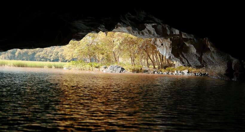 From Hanoi: Full-Day Ninh Binh Highlights Small Group Tour - Mua Cave and the 500 Steps: The Hard Part You’ll Remember