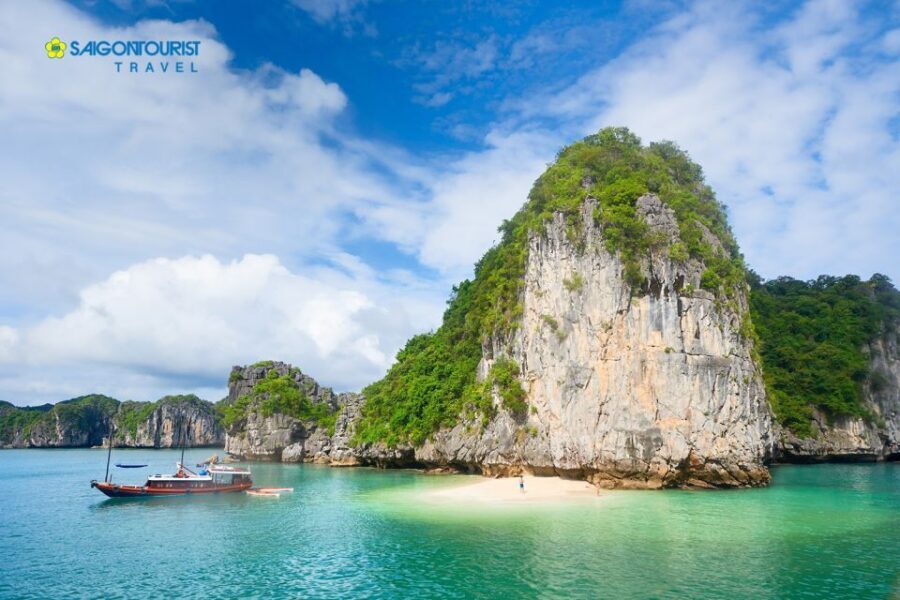 From Hanoi: Halong Bay Day Trip with Lunch and Transfers - Price and what’s included: where the $48 goes