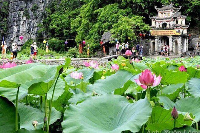 From Hanoi: Hoa Lu, Tam Coc, and Mua Cave Scenic Day Trip - Getting from Hanoi to Ninh Bình: what a full-day run really feels like