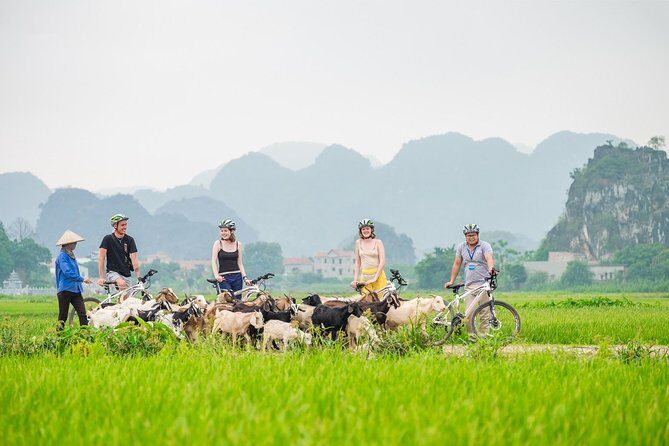 From Hanoi: Hoa Lu - Tam Coc boating - Cycling & Mua Cave visit - Key highlights worth your attention
