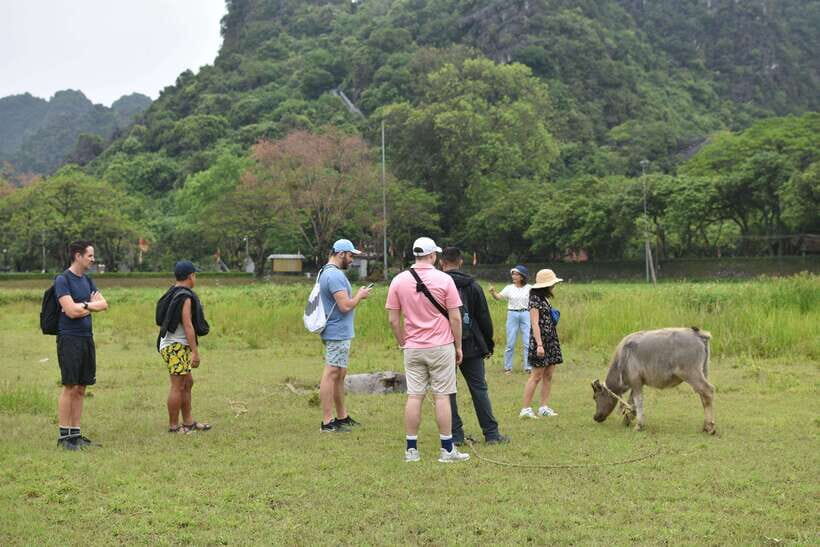 From Hanoi: Ninh Binh, Hoa Lu, Tam Coc, & Mua Cave Day-Trip - Optional bike time around rural life: fun, not a fitness test