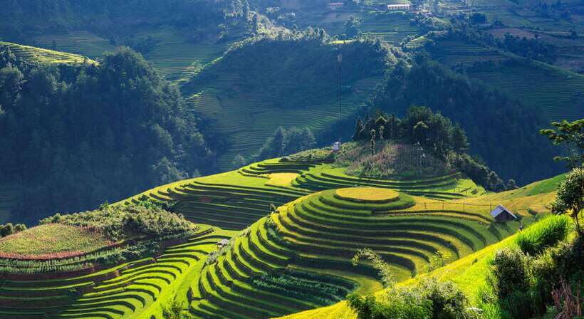 From Hanoi: Premium 2-Day Sapa Adventure with DCAR Limousine - Day 1 with homestay overnight: Lao Chai, Ta Van, and a spring-roll class