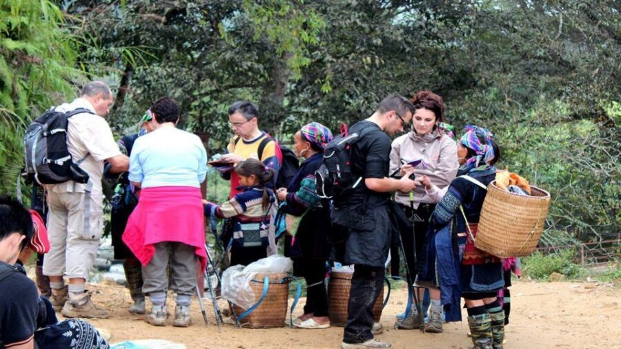 From Hanoi: Sapa 3-Day Medium Trek and Limousine Trip - Guide quality and the real-world issue of unofficial sellers