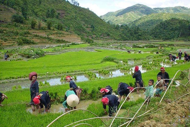 From Hanoi: Sapa Real Experience 2-Day 1 Night at Ethnic Homestay - From Hanoi’s Old Quarter to the mountains, without the hassle