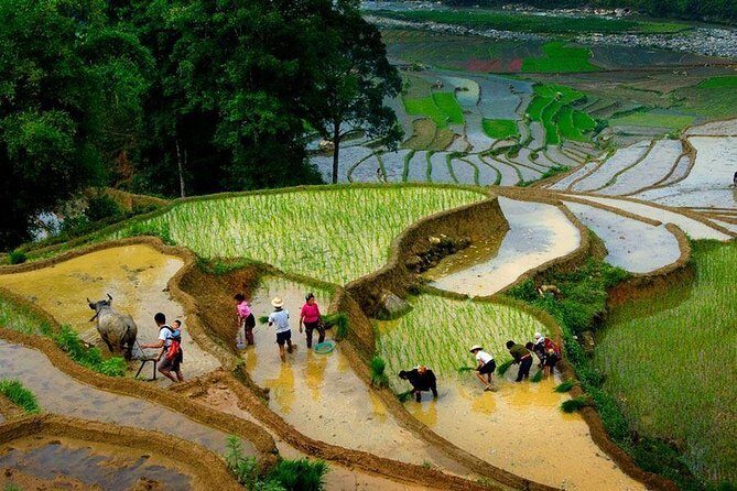 From Hanoi: Sapa Real Experience 2-Day 1 Night at Ethnic Homestay - The homestay evening: food, routines, and learning by doing