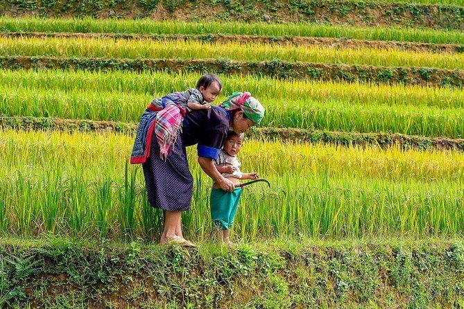 From Hanoi: Sapa Real Experience 2-Day 1 Night at Ethnic Homestay - The $70 price: what you’re really paying for