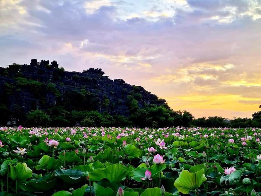 From Hanoi: Trang An eco-tourism - Hoa Lu ancient & Mua Cave - Quick practical checklist before you go