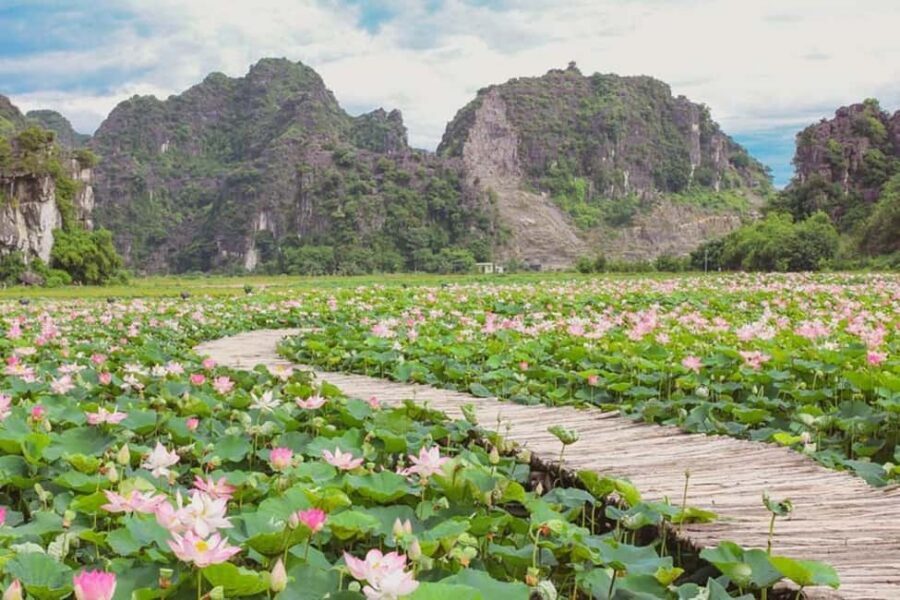 From Hanoi: Trang An eco-tourism - Hoa Lu ancient & Mua Cave - Value for about $42: what you’re really paying for